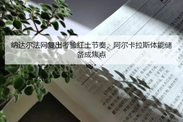 na-da-er-fa-wang-fu-chu-kao-yan-hong-tu-jie-zou-a-er-ka-la-si-ti-neng-chu-bei-cheng-jiao-dian-2-441.jpg