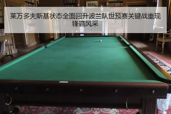 lai-wan-duo-fu-si-ji-zhuang-tai-quan-mian-hui-sheng-bo-lan-dui-shi-yu-sai-guan-jian-zhan-chong-xian-feng-ba-feng-cai-3-424.jpg